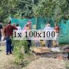 Visitors at thr bee hives