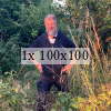 Jon among the weeds of his new plot