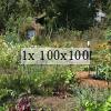 sunny allotment with vegetables