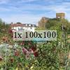 allotment and church