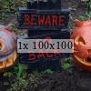 two carved pumpkins