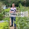 Jon on his plot during summer