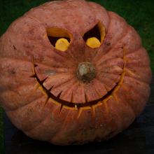 a spooky carved halloween pumpkin